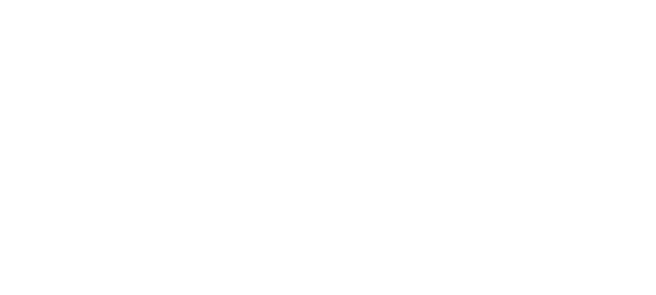NYX logo