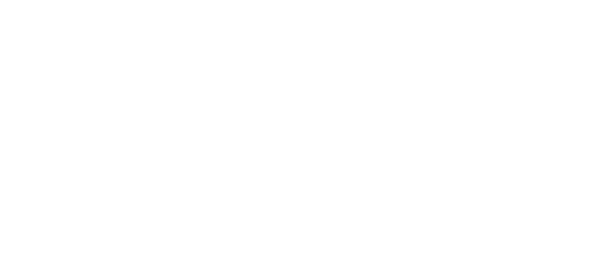 Play'n GO logo